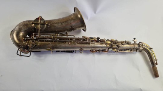 Lyon and Healy American Professional (3)